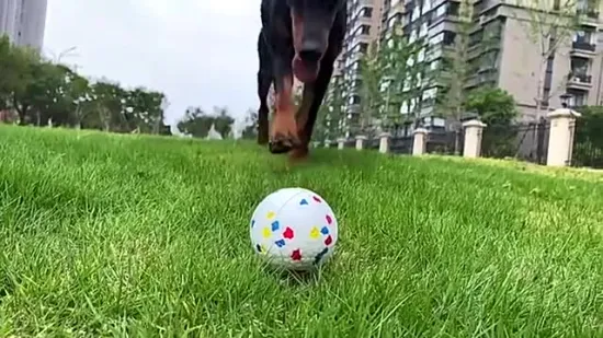 Dog Interactive Chew Etpu Balls Etpu Molar Balls Etpu Balls for Training Dog